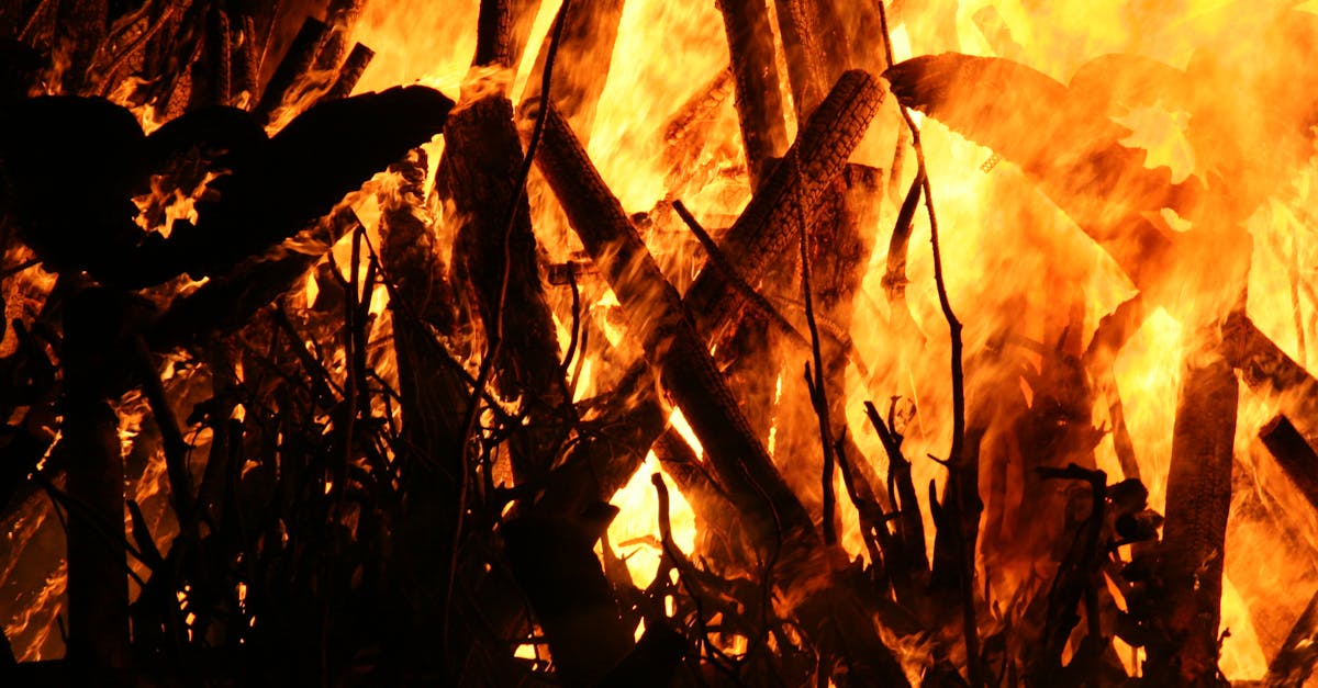 découvrez tout ce qu'il faut savoir sur les épisodes de canicule : causes, conséquences sur la santé et l'environnement, et conseils pour se protéger efficacement lors des fortes chaleurs.