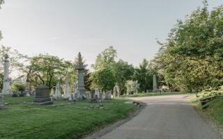 découvrez les monuments historiques qui racontent l'histoire de notre patrimoine. explorez les sites emblématiques, des châteaux majestueux aux ruines antiques, et plongez dans le passé fascinant de notre civilisation.