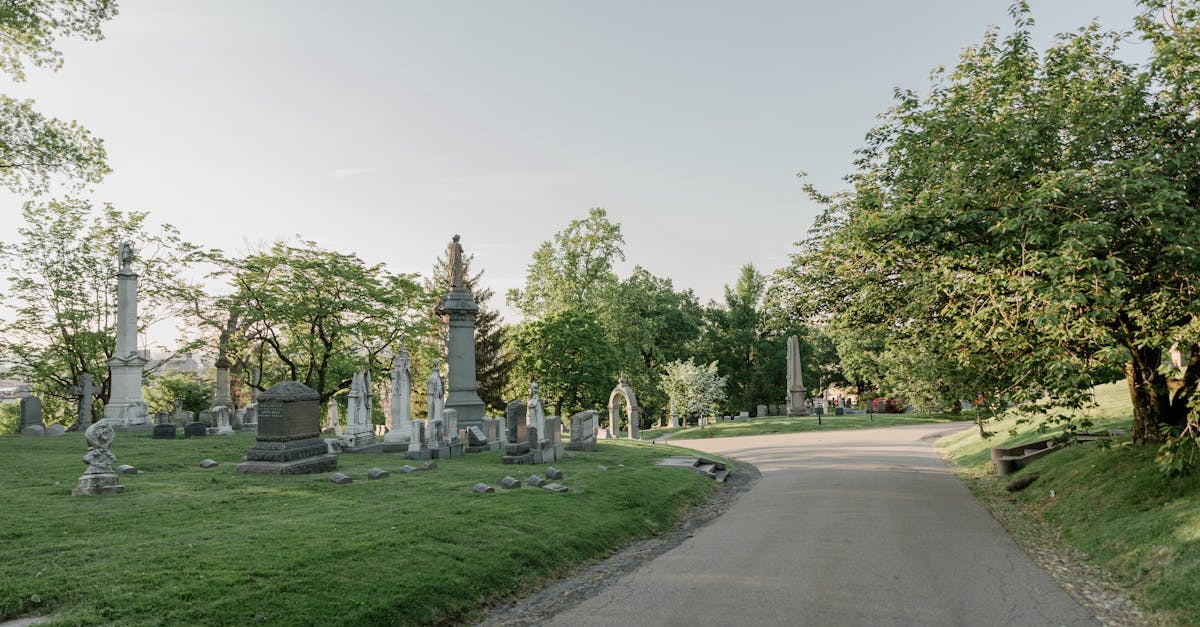 découvrez les monuments historiques qui racontent l'histoire de notre patrimoine. explorez les sites emblématiques, des châteaux majestueux aux ruines antiques, et plongez dans le passé fascinant de notre civilisation.