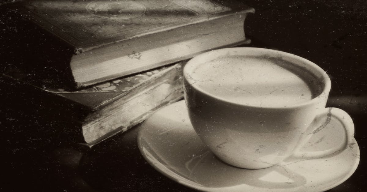 découvrez l'ambiance unique des literary cafés, des lieux inspirants où la littérature se mêle à la convivialité. idéal pour les amateurs de livres, d'échanges culturels et de rencontres autour d'un café.