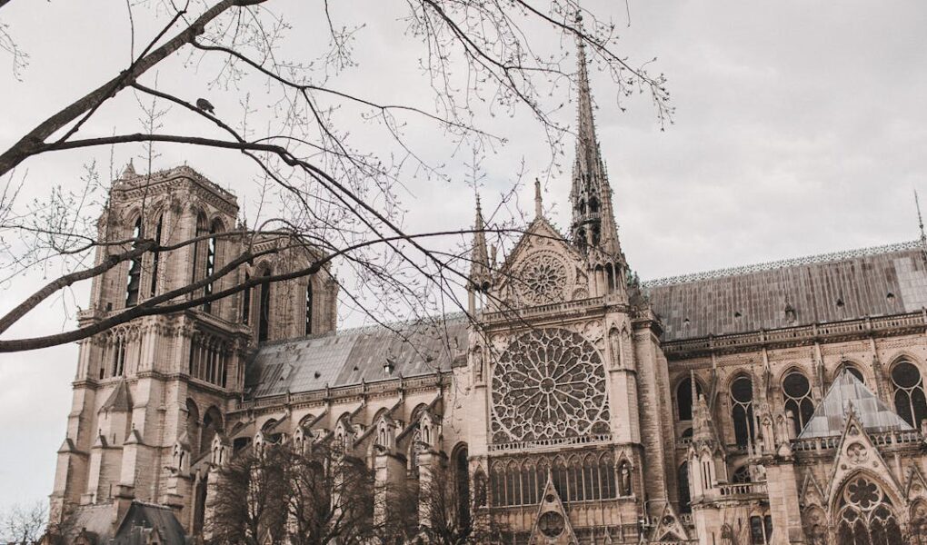 découvrez le paris médiéval : son histoire fascinante, ses monuments emblématiques et les trésors cachés de la capitale durant le moyen âge. immergez-vous dans l’ambiance unique de la vieille ville !
