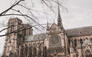 découvrez le paris médiéval : son histoire fascinante, ses monuments emblématiques et les trésors cachés de la capitale durant le moyen âge. immergez-vous dans l’ambiance unique de la vieille ville !