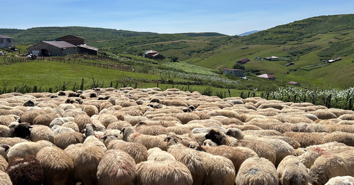 découvrez une sélection de panoramas à couper le souffle : paysages naturels, vues urbaines et horizons spectaculaires à explorer en france et à travers le monde.