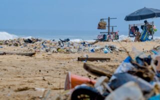 découvrez tout sur le plastique : ses utilisations, ses avantages, ses inconvénients et son impact environnemental. informez-vous pour mieux comprendre ce matériau omniprésent dans notre quotidien.