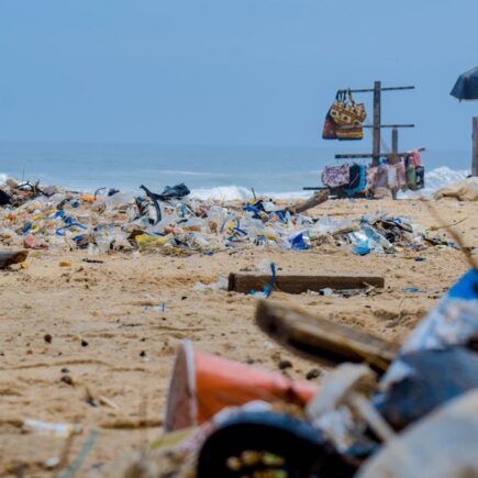 découvrez tout sur le plastique : ses utilisations, ses avantages, ses inconvénients et son impact environnemental. informez-vous pour mieux comprendre ce matériau omniprésent dans notre quotidien.