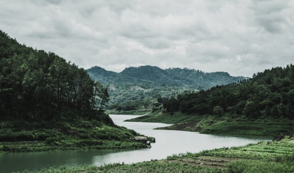 découvrez l'importance des rivières, leurs rôles écologiques, leur beauté naturelle et leur impact sur nos sociétés. plongez dans un univers fascinant et apprenez-en plus sur ces cours d'eau essentiels à la vie.