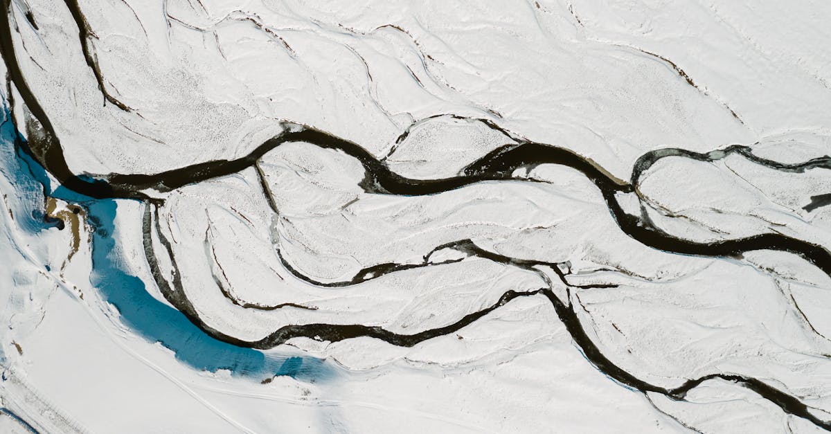 découvrez les rivières, leur rôle vital dans l’écosystème, leurs caractéristiques, et pourquoi elles fascinent tant voyageurs et amoureux de la nature. informations, curiosités et conseils pour explorer les plus belles rivières du monde.