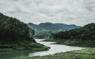 découvrez l'importance des rivières, leurs rôles écologiques, leur beauté naturelle et leur impact sur nos sociétés. plongez dans un univers fascinant et apprenez-en plus sur ces cours d'eau essentiels à la vie.