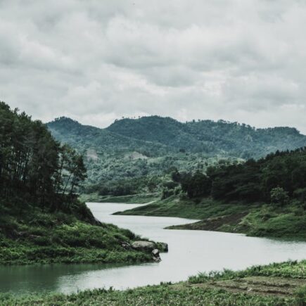 découvrez l'importance des rivières, leurs rôles écologiques, leur beauté naturelle et leur impact sur nos sociétés. plongez dans un univers fascinant et apprenez-en plus sur ces cours d'eau essentiels à la vie.