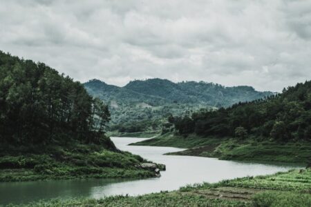 découvrez l'importance des rivières, leurs rôles écologiques, leur beauté naturelle et leur impact sur nos sociétés. plongez dans un univers fascinant et apprenez-en plus sur ces cours d'eau essentiels à la vie.