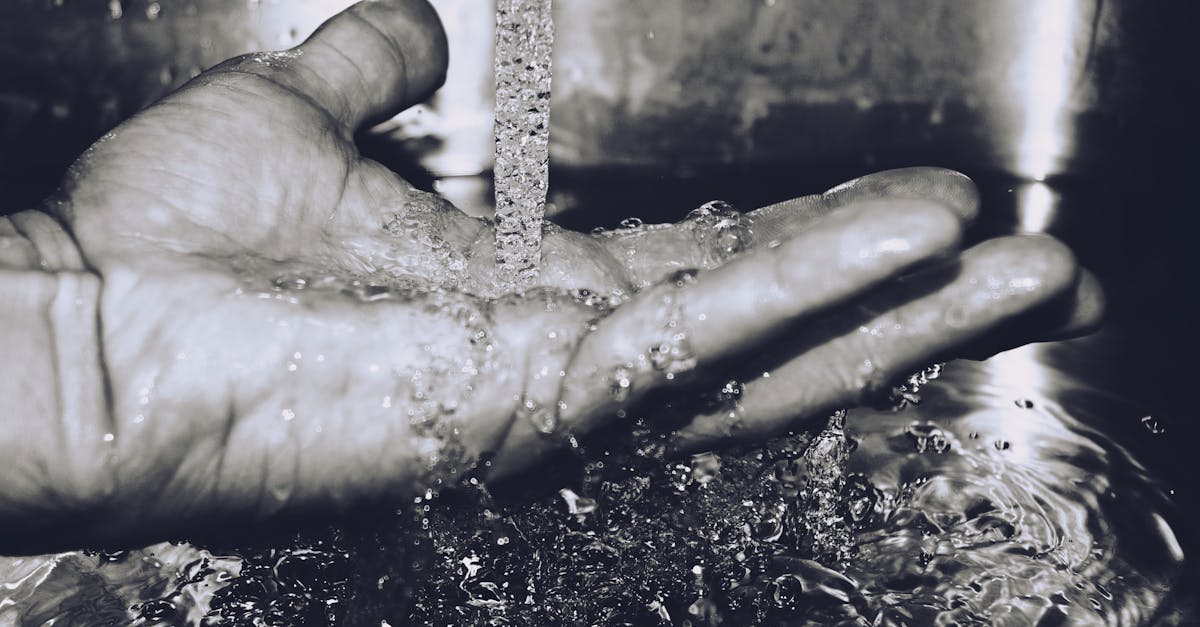 découvrez l'importance de la sanitation pour la santé publique, les solutions durables et les meilleures pratiques pour assurer l’hygiène et le bien-être de tous.