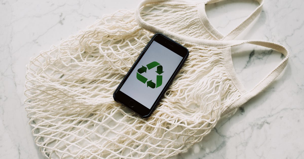 découvrez les meilleures pratiques et solutions durables pour un avenir plus respectueux de l'environnement. nos conseils et ressources pour adopter un mode de vie et des choix écologiques.