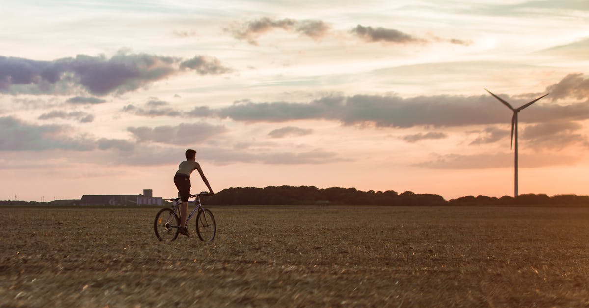 découvrez comment adopter un mode de vie plus durable grâce à des conseils, astuces et solutions écologiques pour préserver l’environnement et favoriser un avenir responsable.
