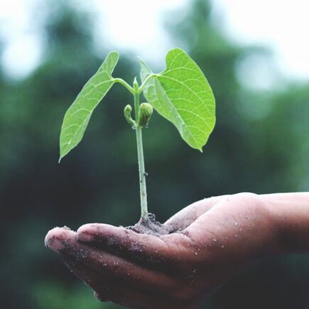 découvrez comment adopter un mode de vie durable grâce à des astuces, conseils et solutions innovantes pour préserver l'environnement au quotidien.