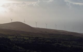prévisions météo précises et à jour : températures, pluie, vent et alertes locales. suivez la météo heure par heure et sur 7 jours pour mieux planifier.