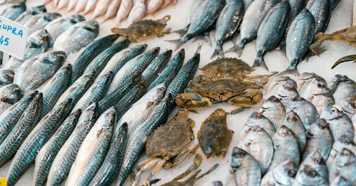 découvrez une poissonnerie autonome où l'achat de poissons frais se fait facilement grâce à des technologies innovantes. profitez d'une expérience moderne, rapide et sans attente, avec un large choix de produits de la mer de qualité.