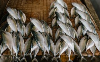 découvrez la boutique de poissons autonome : un concept innovant où la technologie rend l’achat de poissons frais simple, rapide et accessible 24h/24, 7j/7. fraîcheur garantie et expérience unique !