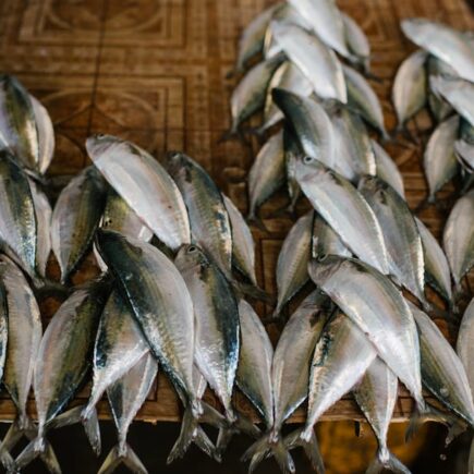 découvrez la boutique de poissons autonome : un concept innovant où la technologie rend l’achat de poissons frais simple, rapide et accessible 24h/24, 7j/7. fraîcheur garantie et expérience unique !