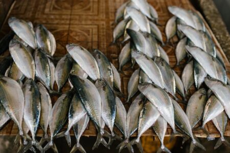 découvrez la boutique de poissons autonome : un concept innovant où la technologie rend l’achat de poissons frais simple, rapide et accessible 24h/24, 7j/7. fraîcheur garantie et expérience unique !
