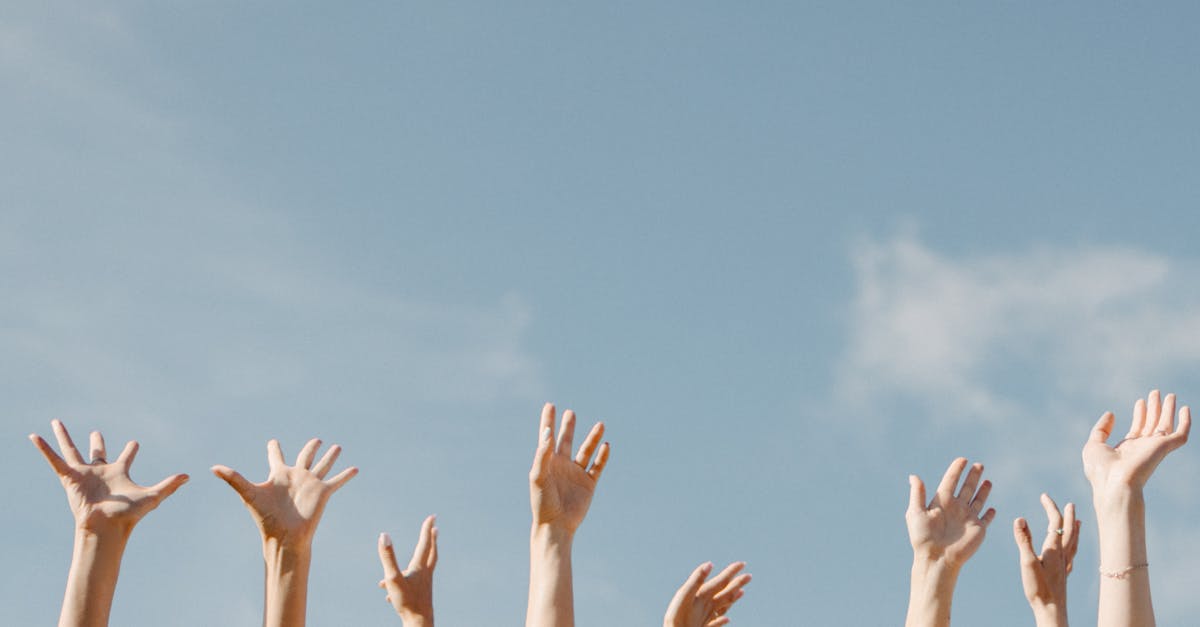 découvrez tout ce qu'il faut savoir sur les collectives : définition, fonctionnement, avantages et conseils pour rejoindre ou créer une collective adaptée à vos besoins.