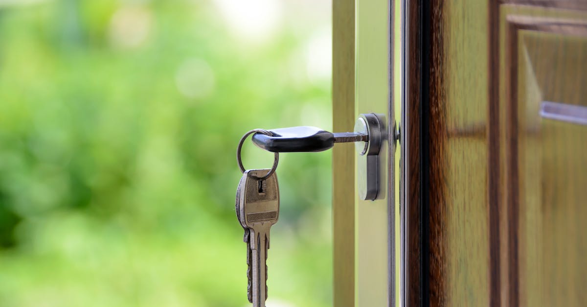 découvrez tout sur l'immobilier : conseils d'achat, vente, location, tendances du marché et astuces pour investir dans le secteur du real estate.