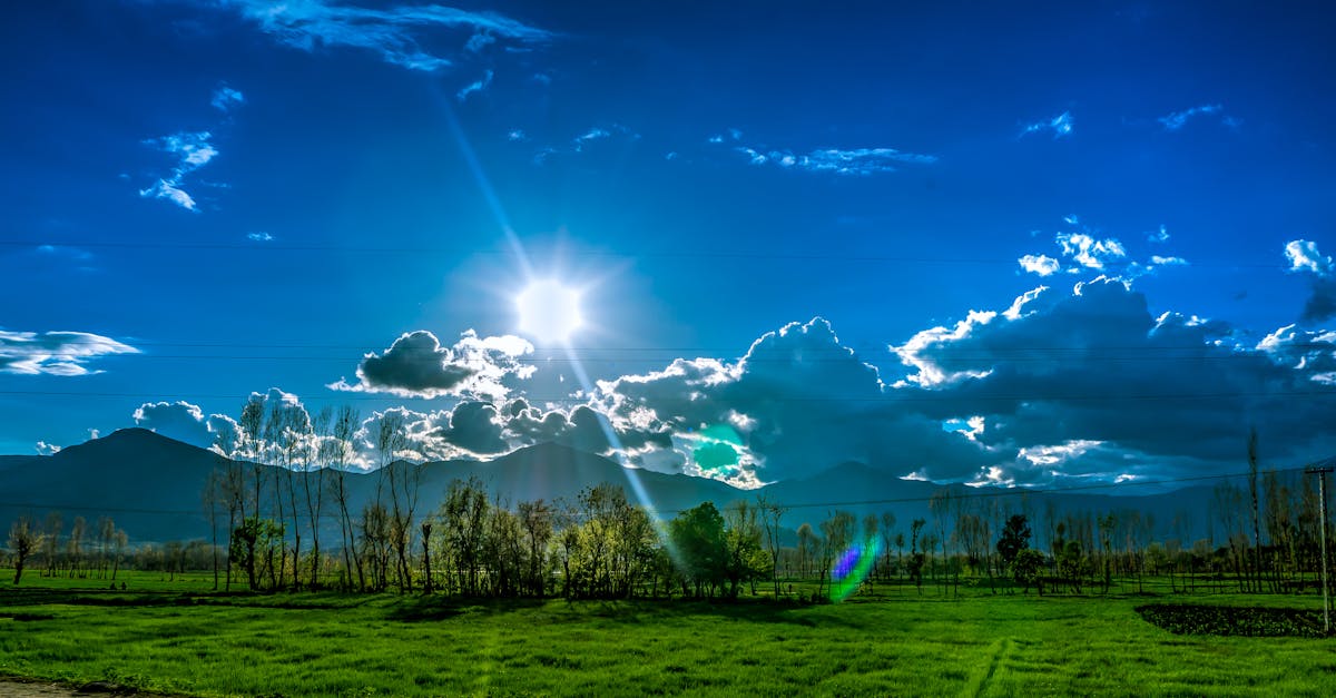 consultez les prévisions météo détaillées pour votre région : températures, précipitations, vent et évolution du temps heure par heure.