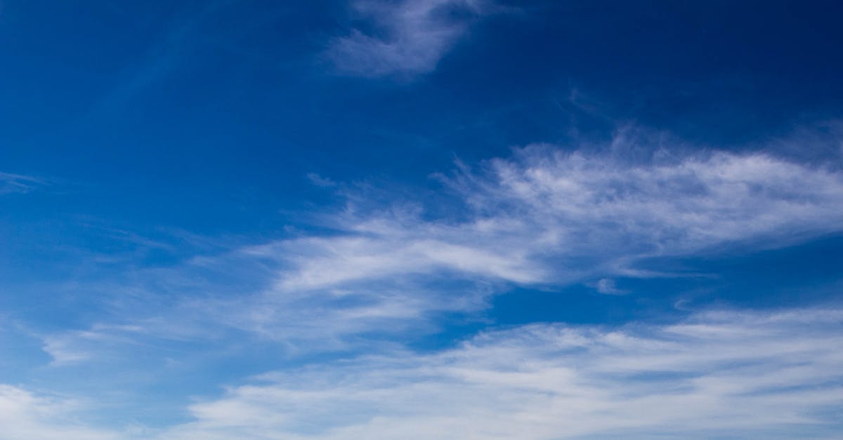 découvrez les prévisions météo précises pour aujourd'hui et les prochains jours : températures, précipitations, vents et alertes météo pour votre région.