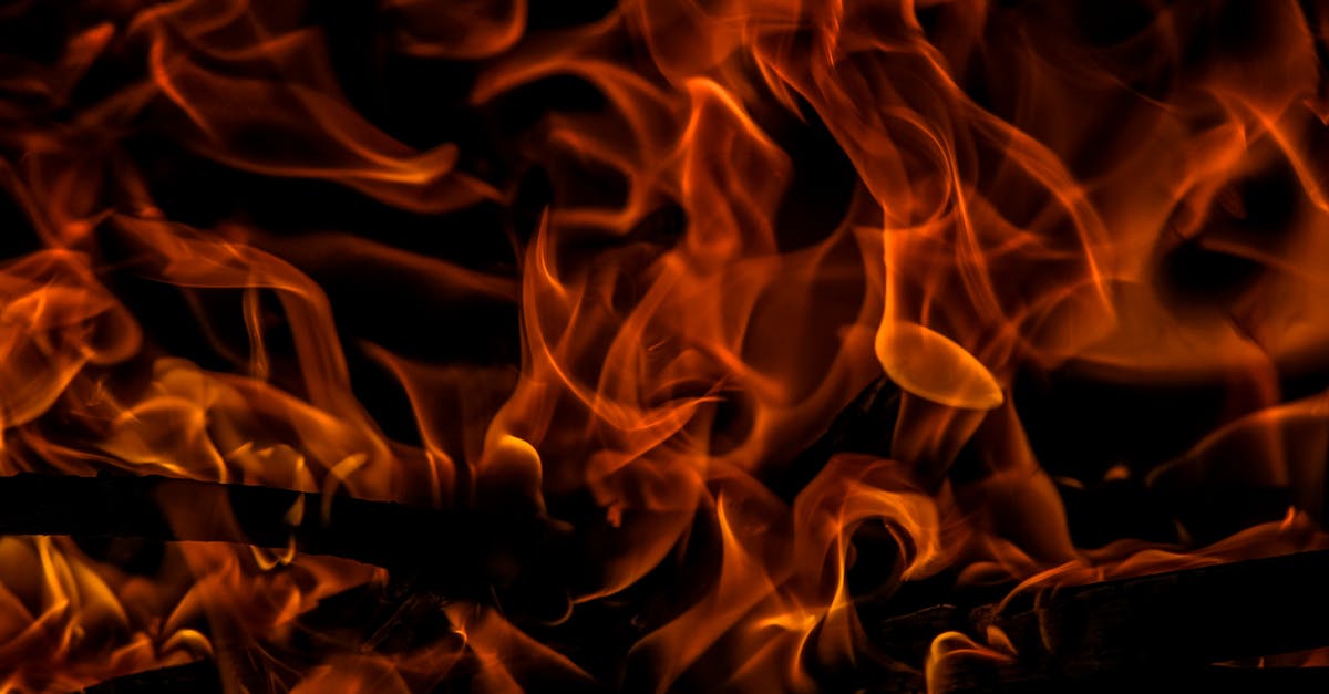 découvrez tout sur le feu : ses origines, son importance dans notre quotidien, ses usages, ainsi que les conseils pour prévenir les risques et assurer la sécurité.