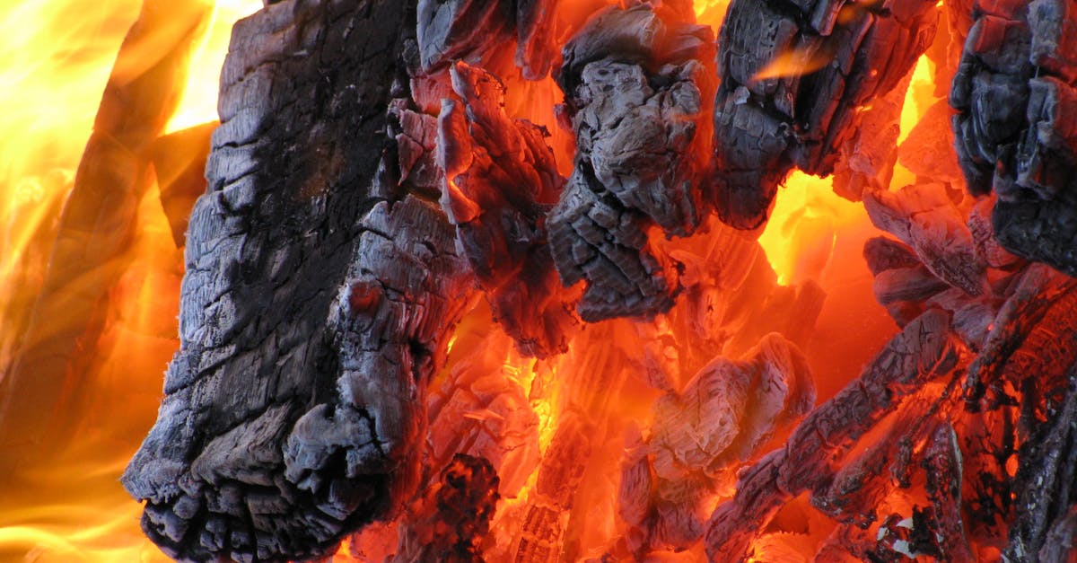 découvrez tout ce qu'il faut savoir sur le feu : ses origines, ses usages, ses dangers et les conseils pour le maîtriser en toute sécurité.