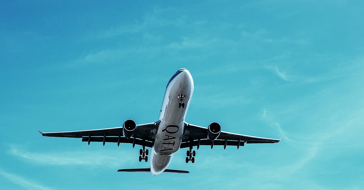 découvrez nos solutions de transport fiables et sécurisées pour tous vos besoins de déplacement ou de logistique. profitez d’un service sur mesure, adapté à vos exigences, avec un excellent rapport qualité-prix.