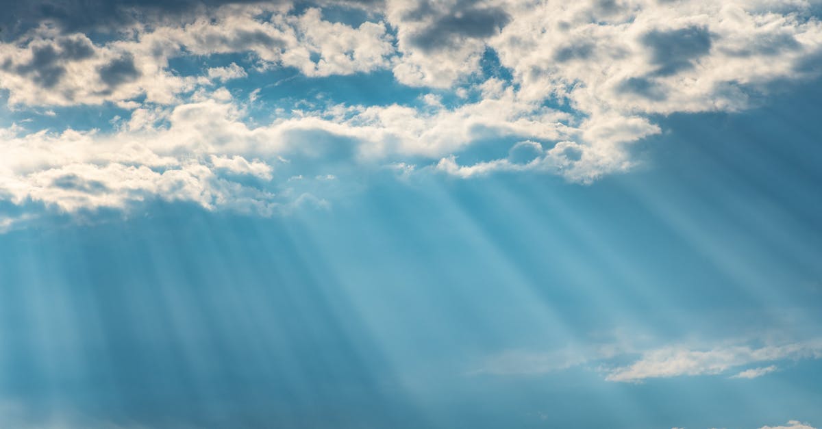 découvrez les dernières prévisions météo heure par heure : températures, vents, pluies et conseils pratiques pour planifier vos activités en toute sérénité.