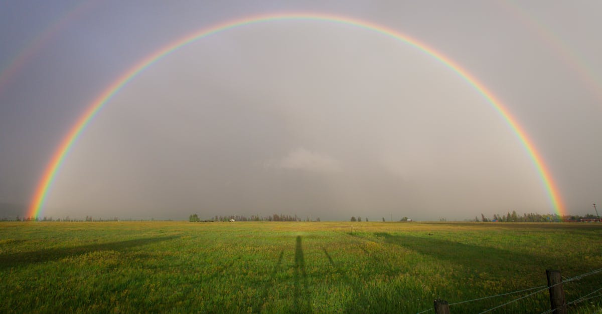 découvrez les prévisions météo actualisées pour votre région : températures, précipitations, vent et conseils pour préparer votre journée en toute tranquillité.