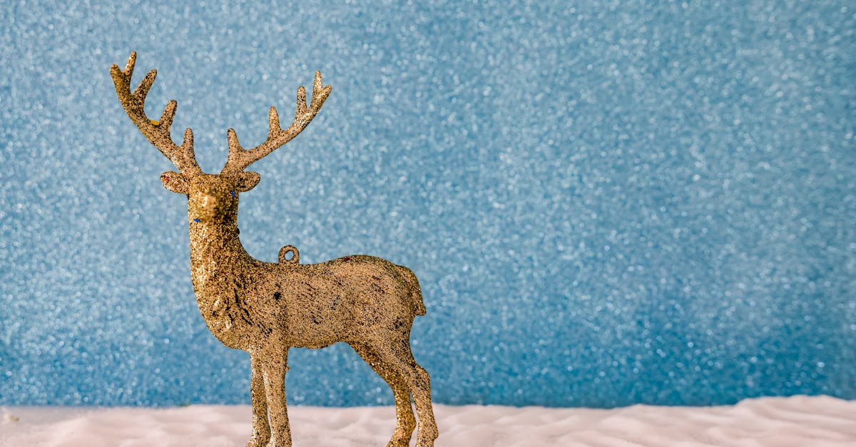 découvrez les meilleures animations de noël à paris pour toute la famille : spectacles, marchés festifs, illuminations et événements magiques pour célébrer les fêtes.