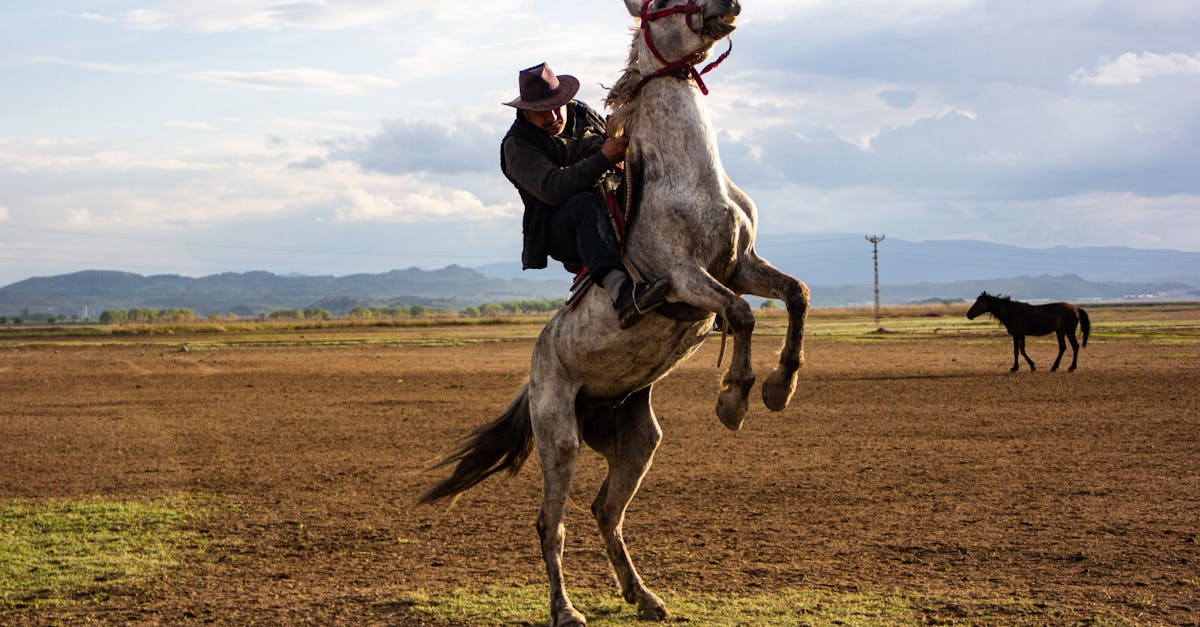 découvrez une sélection d'activités gratuites à faire seul, en famille ou entre amis pour profiter pleinement de votre temps libre sans dépenser un centime. idées, conseils et bons plans pour tous les âges !