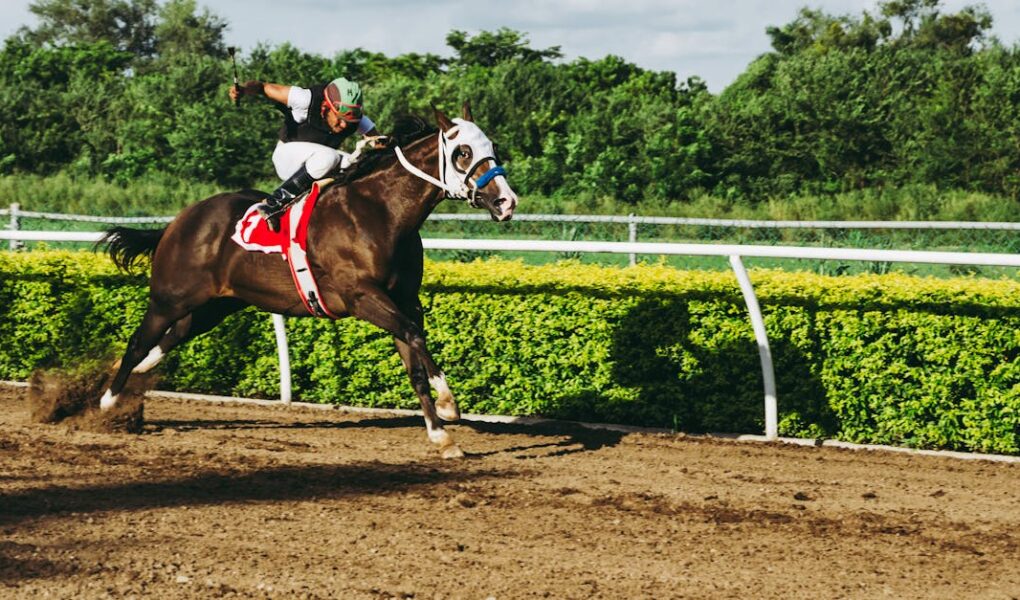 découvrez tout sur les courses hippiques : actualités, événements, conseils et astuces pour parier sur les chevaux et vivre la passion des courses de chevaux.