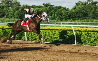 découvrez tout sur les courses hippiques : actualités, événements, conseils et astuces pour parier sur les chevaux et vivre la passion des courses de chevaux.