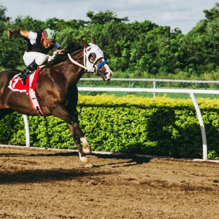 découvrez tout sur les courses hippiques : actualités, événements, conseils et astuces pour parier sur les chevaux et vivre la passion des courses de chevaux.
