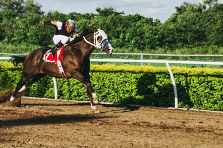 découvrez tout sur les courses hippiques : actualités, événements, conseils et astuces pour parier sur les chevaux et vivre la passion des courses de chevaux.