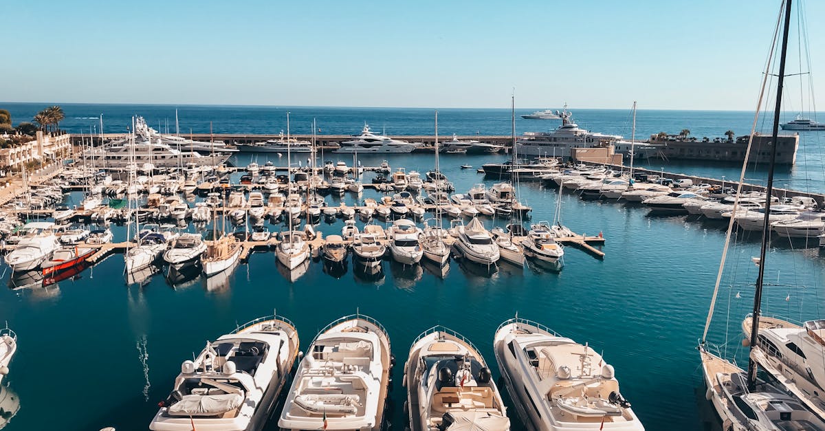 découvrez monaco, le prestigieux état de la côte d’azur, réputé pour son luxe, son casino de monte-carlo, son grand prix de formule 1 et son climat méditerranéen exceptionnel.