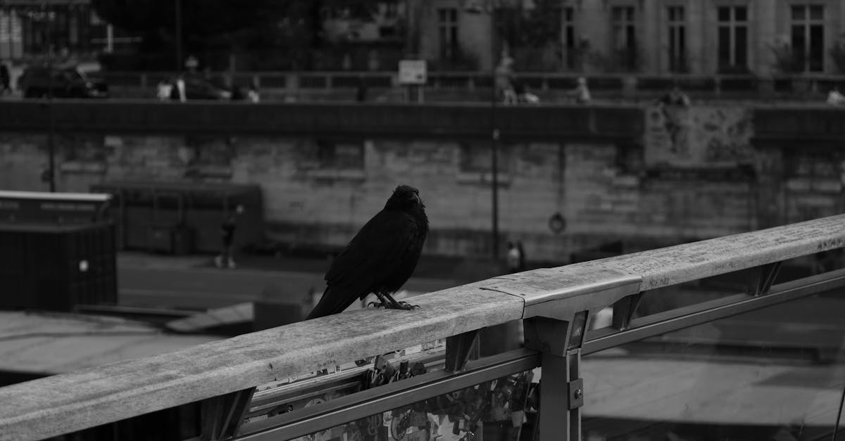 découvrez les actions incontournables à suivre absolument à paris et en europe pour maximiser vos investissements et rester informé des tendances du marché.