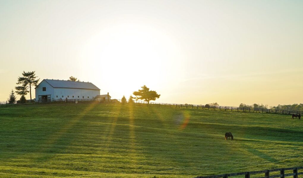 découvrez tout sur l'élection municipale de paris 2026 : candidats, programmes, dates clés et enjeux majeurs pour la capitale française.