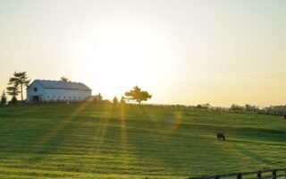 découvrez tout sur l'élection municipale de paris 2026 : candidats, programmes, dates clés et enjeux majeurs pour la capitale française.