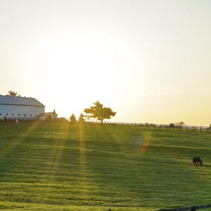 découvrez tout sur l'élection municipale de paris 2026 : candidats, programmes, dates clés et enjeux majeurs pour la capitale française.