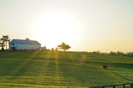 découvrez tout sur l'élection municipale de paris 2026 : candidats, programmes, dates clés et enjeux majeurs pour la capitale française.