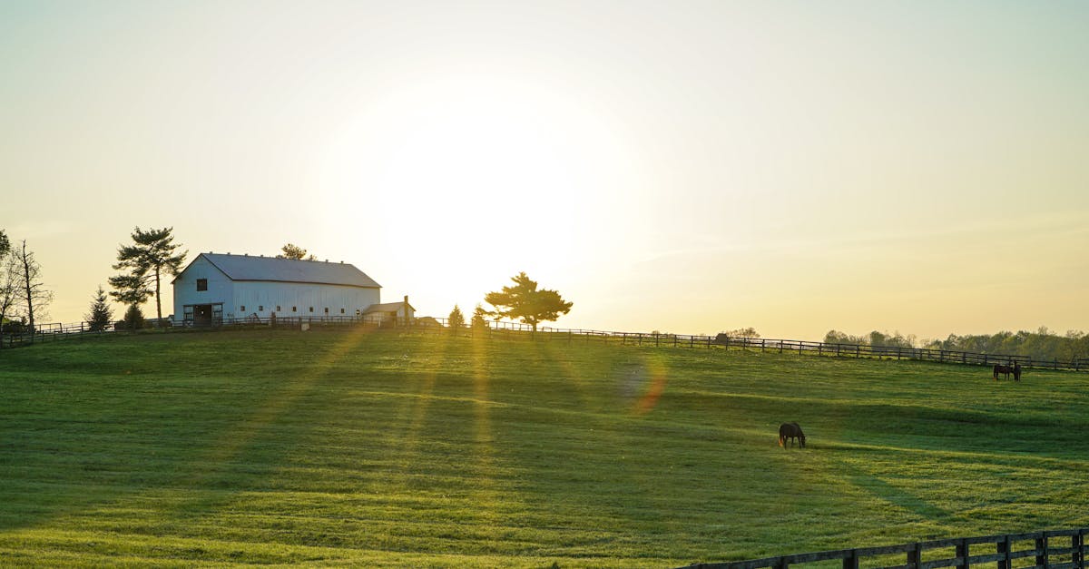 découvrez tout sur l'élection municipale de paris 2026 : candidats, programmes, dates clés et enjeux majeurs pour la capitale française.