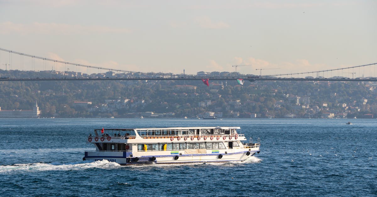 découvrez tout ce qu'il faut savoir sur les transports en commun : avantages, fonctionnement, conseils pratiques et solutions durables pour faciliter vos déplacements quotidiens.