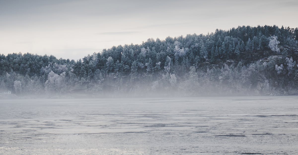découvrez tout sur la neige : son origine, ses caractéristiques et son impact sur notre environnement. plongez dans l'univers fascinant du snow.