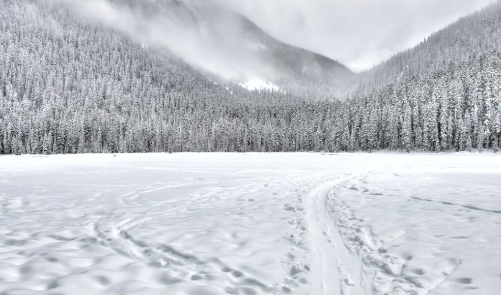 découvrez tout sur la neige : conditions, sports d'hiver, conseils et astuces pour profiter pleinement de la saison enneigée.