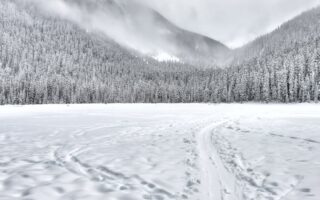 découvrez tout sur la neige : conditions, sports d'hiver, conseils et astuces pour profiter pleinement de la saison enneigée.