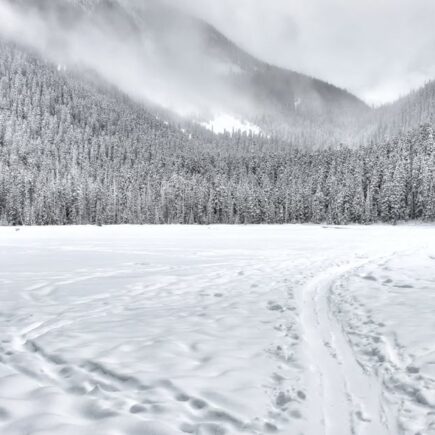 découvrez tout sur la neige : conditions, sports d'hiver, conseils et astuces pour profiter pleinement de la saison enneigée.